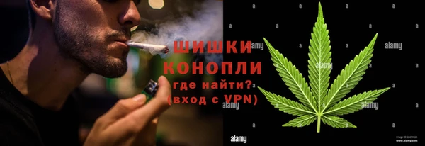 хмурый Алзамай