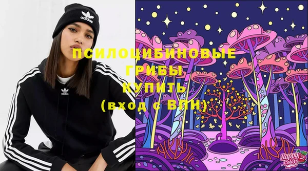 хмурый Алзамай